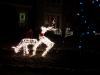 CIMG3977